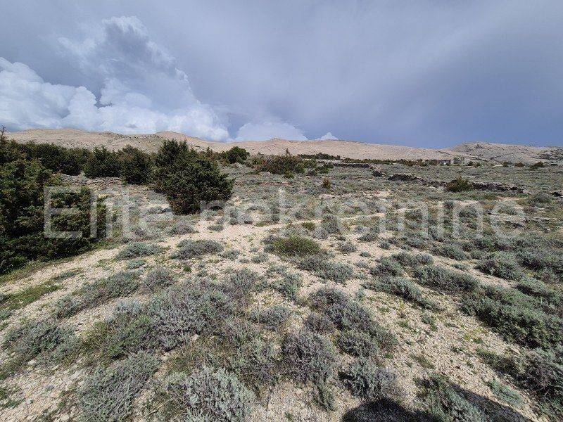 Construction plot for tourism, Sale, Pag, Pag