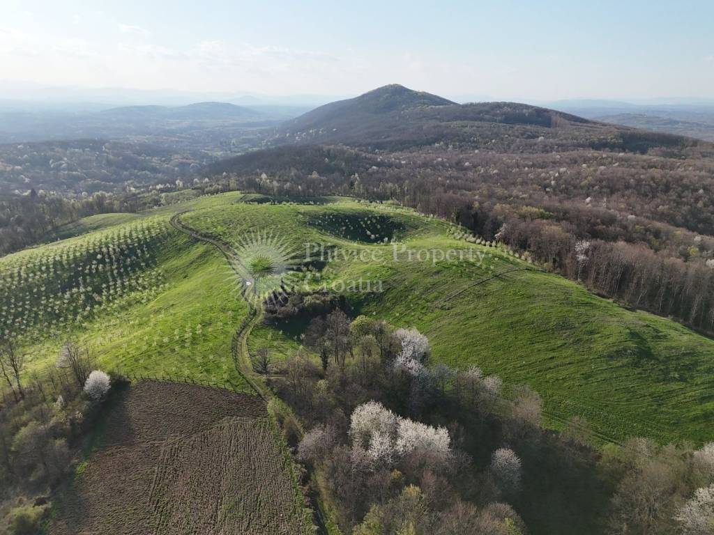 Plot for construction of mixed-use property, Sale, Krnjak, Gornji Skrad