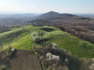 Plot for construction of mixed-use property, Sale, Krnjak, Gornji Skrad