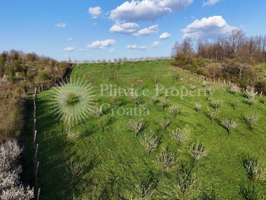 Plot for construction of mixed-use property, Sale, Krnjak, Gornji Skrad