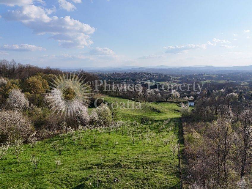 Plot for construction of mixed-use property, Sale, Krnjak, Gornji Skrad