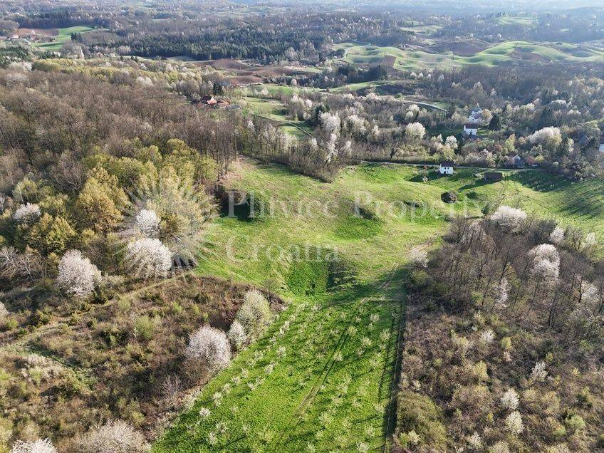 Plot for construction of mixed-use property, Sale, Krnjak, Gornji Skrad