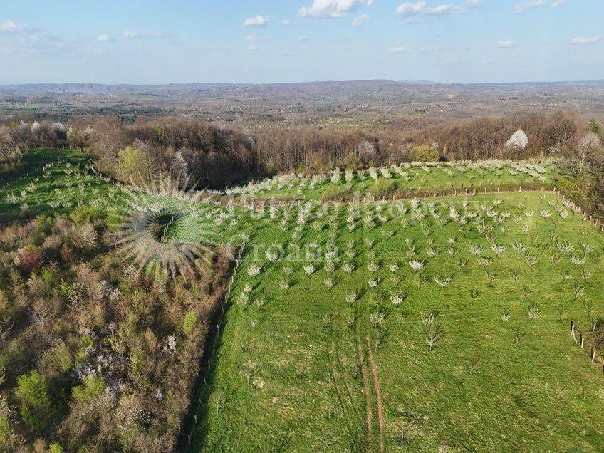 Plot for construction of mixed-use property, Sale, Krnjak, Gornji Skrad
