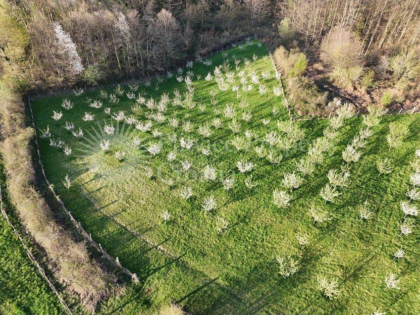 Plot for construction of mixed-use property, Sale, Krnjak, Gornji Skrad