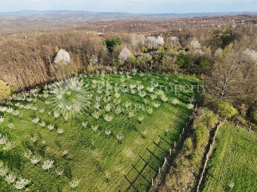Plot for construction of mixed-use property, Sale, Krnjak, Gornji Skrad