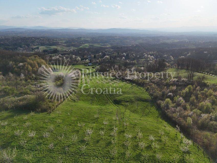 Plot for construction of mixed-use property, Sale, Krnjak, Gornji Skrad