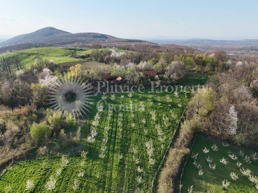 Plot for construction of mixed-use property, Sale, Krnjak, Gornji Skrad