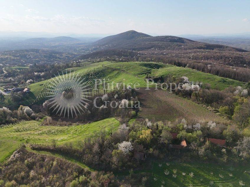 Plot for construction of mixed-use property, Sale, Krnjak, Gornji Skrad