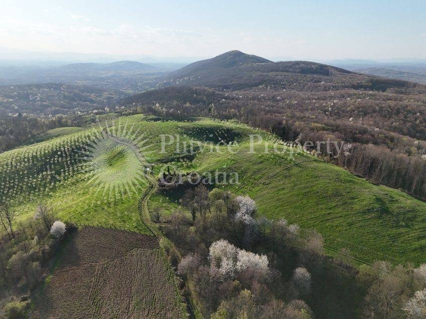 Plot for construction of mixed-use property, Sale, Krnjak, Gornji Skrad