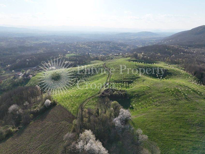 Plot for construction of mixed-use property, Sale, Krnjak, Gornji Skrad