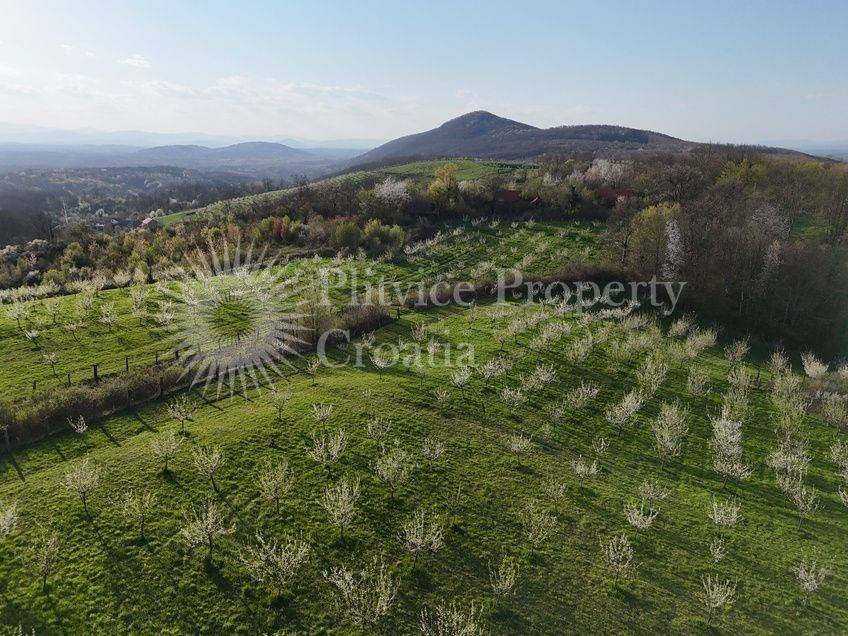 Plot for construction of mixed-use property, Sale, Krnjak, Gornji Skrad