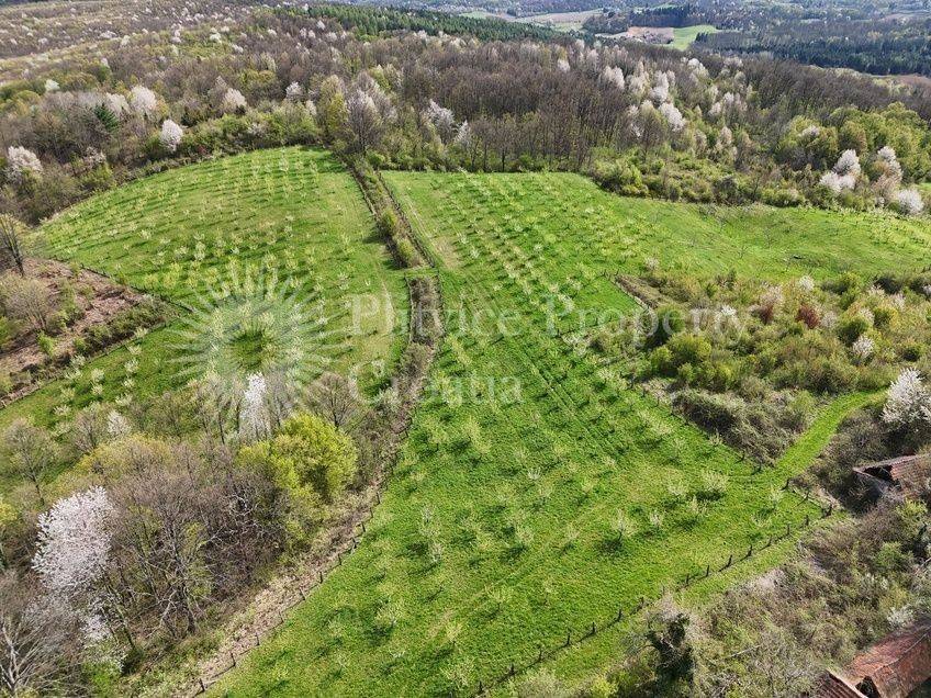 Plot for construction of mixed-use property, Sale, Krnjak, Gornji Skrad
