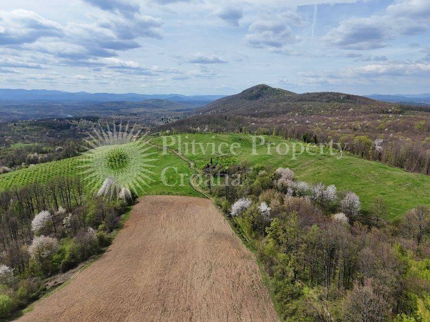 Plot for construction of mixed-use property, Sale, Krnjak, Gornji Skrad