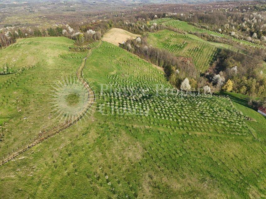 Plot for construction of mixed-use property, Sale, Krnjak, Gornji Skrad