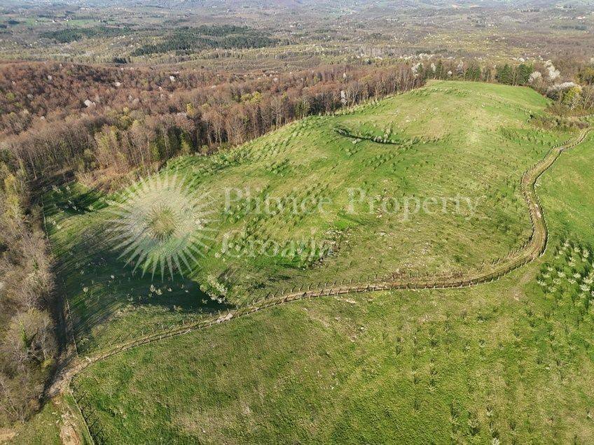 Plot for construction of mixed-use property, Sale, Krnjak, Gornji Skrad