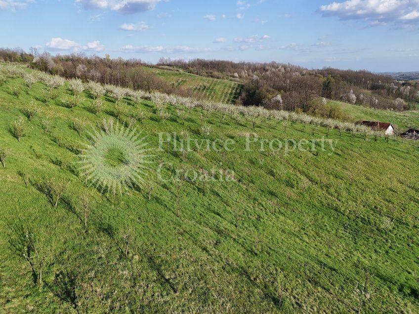 Plot for construction of mixed-use property, Sale, Krnjak, Gornji Skrad