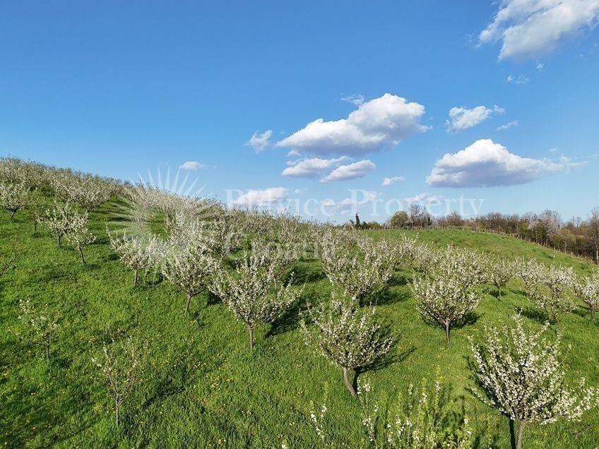 Plot for construction of mixed-use property, Sale, Krnjak, Gornji Skrad