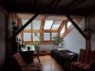 Leasure property, Sale, Selnica, Merhatovec