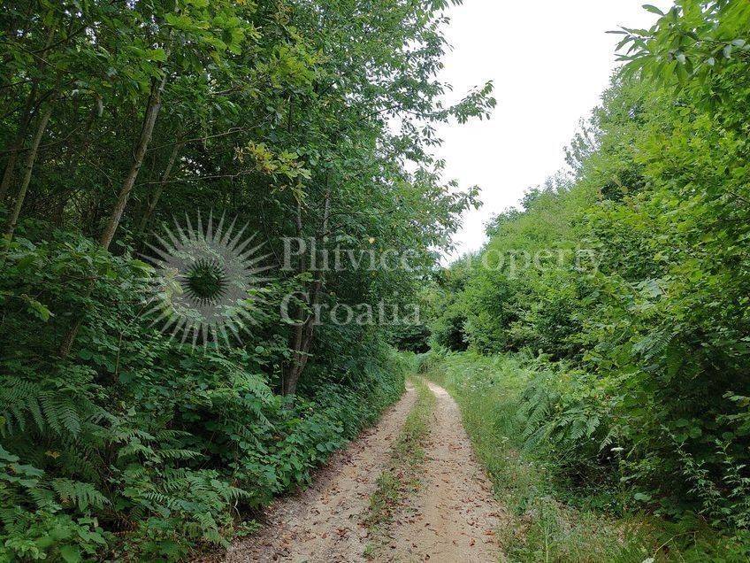 Plot for construction, Sale, Slunj, Slunj