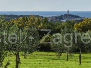 Agricultural plot, Sale, Rovinj, Rovinjsko Selo
