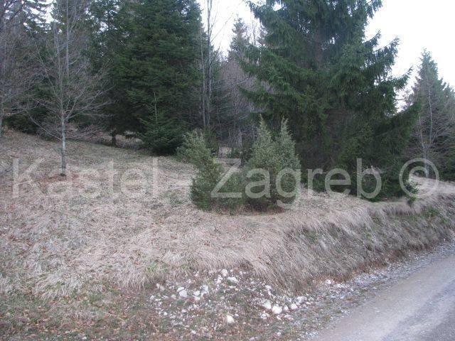 Agricultural plot, Sale, Delnice, Delnice