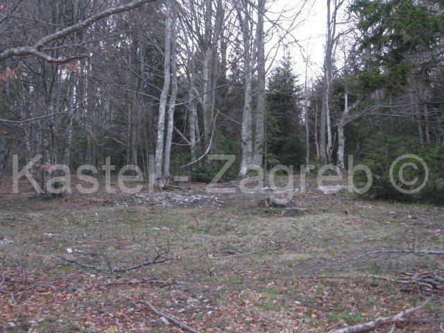 Agricultural plot, Sale, Delnice, Delnice