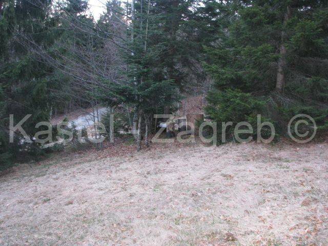 Agricultural plot, Sale, Delnice, Delnice