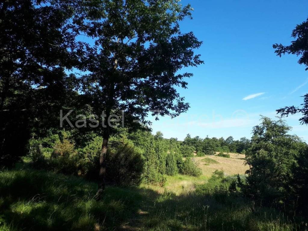 Plot for construction, Sale, Pazin - Okolica, Heki