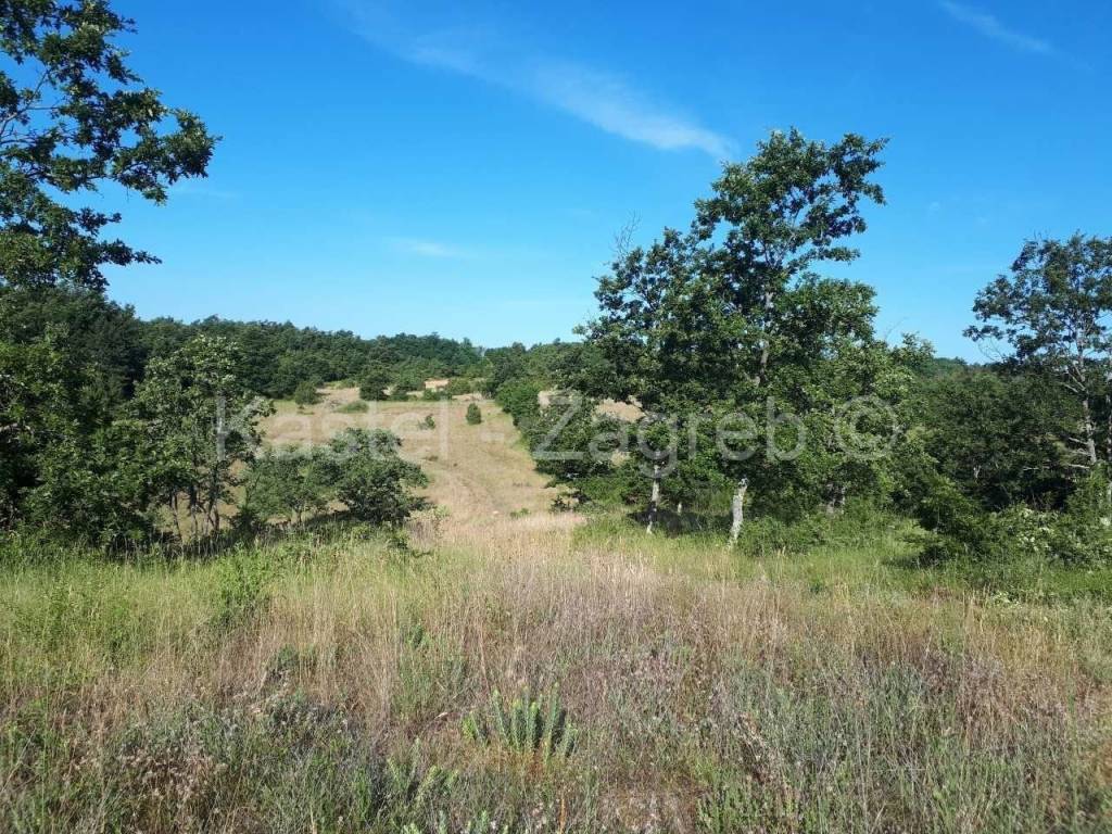 Plot for construction, Sale, Pazin - Okolica, Heki