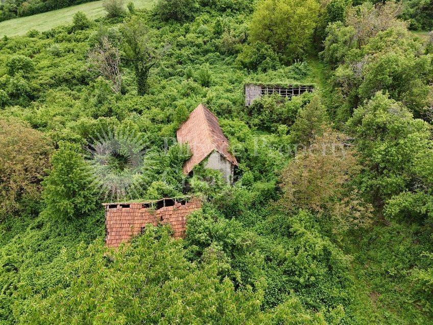 Agricultural plot, Sale, Vojnić, Vojnić
