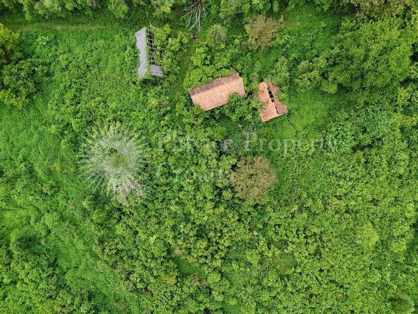 Agricultural plot, Sale, Vojnić, Vojnić