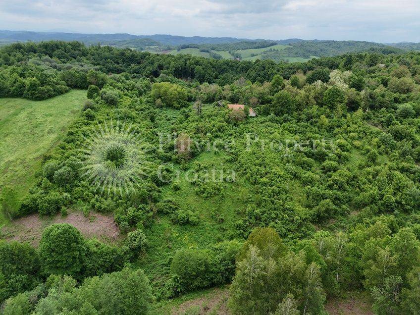 Agricultural plot, Sale, Vojnić, Vojnić