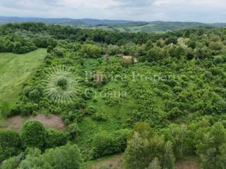 Agricultural plot, Sale, Vojnić, Vojnić