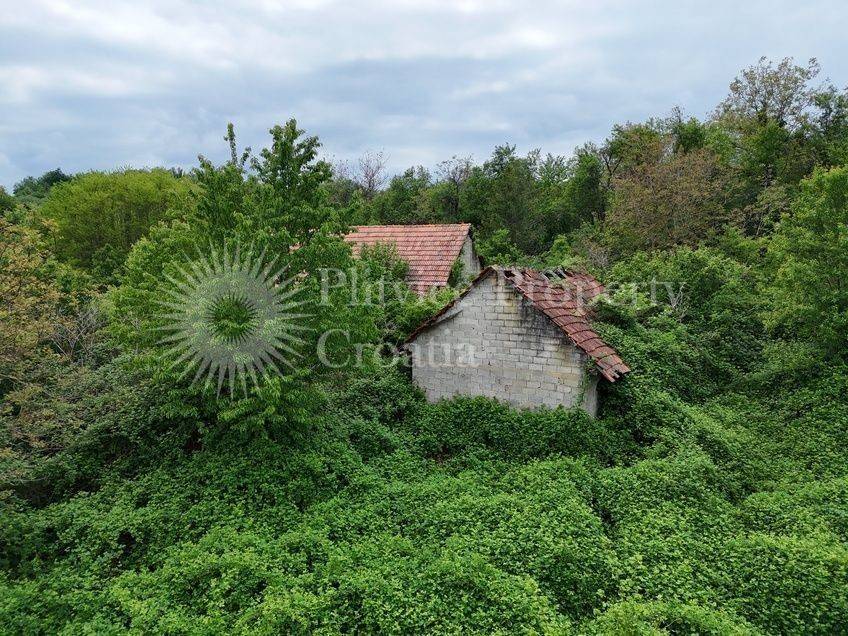 Agricultural plot, Sale, Vojnić, Vojnić