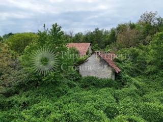 Agricultural plot, Sale, Vojnić, Vojnić
