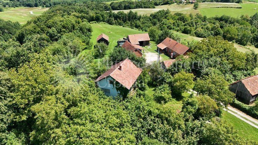 Family house, Sale, Vojnić, Vojnić