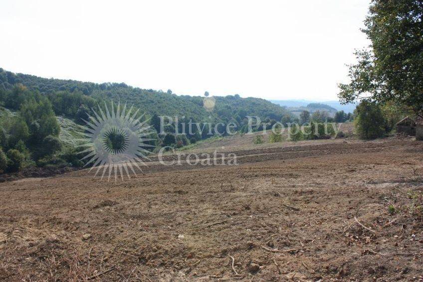 Agricultural plot, Sale, Vojnić, Vojnić