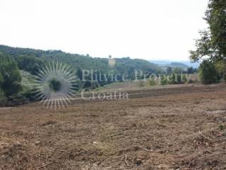 Agricultural plot, Sale, Vojnić, Vojnić