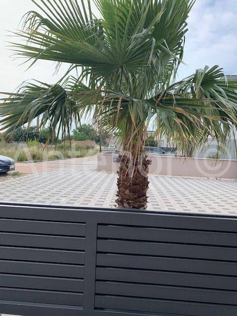 Apartman na moru, Prodaja, Nin, Nin