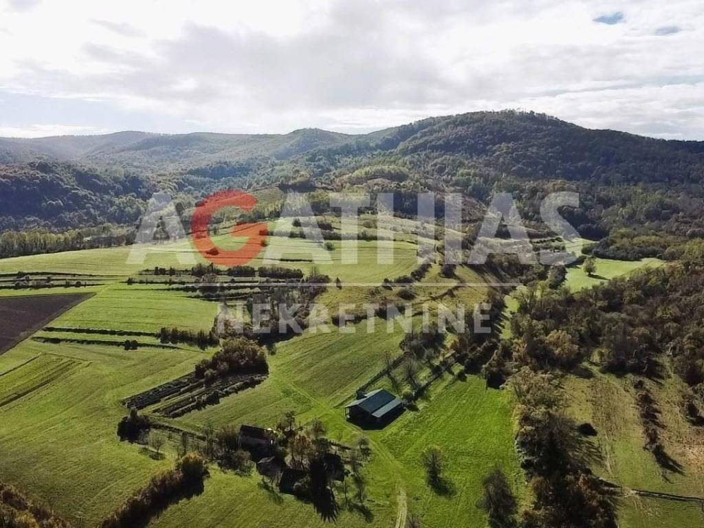 Village property, Sale, Brestovac, Oblakovac