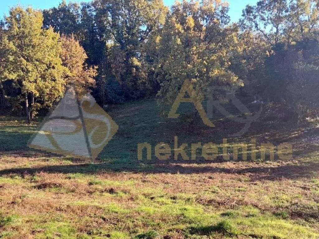 Gradevinsko zemljište, Prodaja, Barban, Rebici