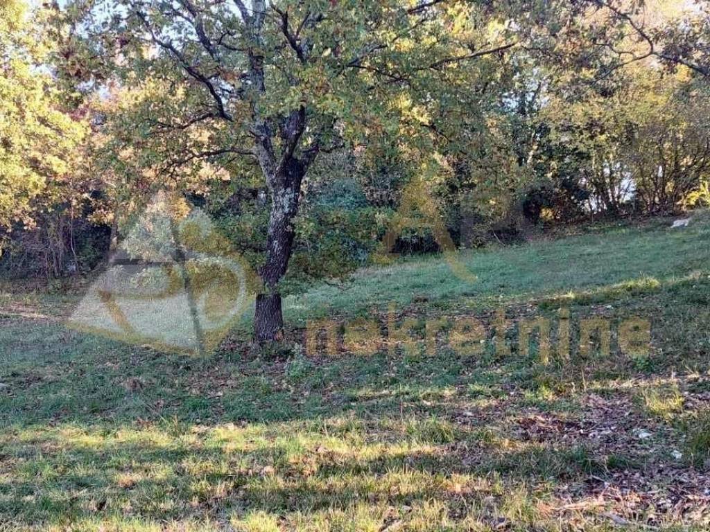 Gradevinsko zemljište, Prodaja, Barban, Rebici