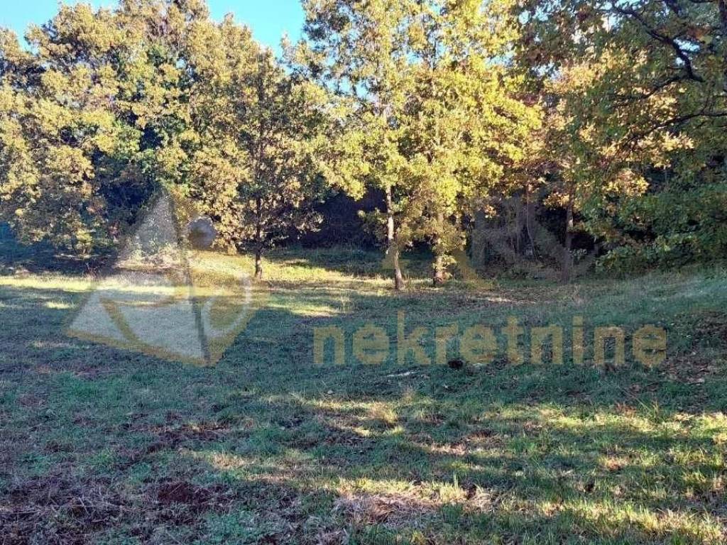 Gradevinsko zemljište, Prodaja, Barban, Rebici