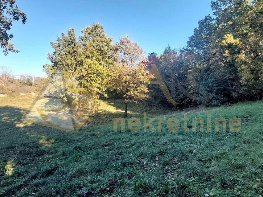 Gradevinsko zemljište, Prodaja, Barban, Rebici