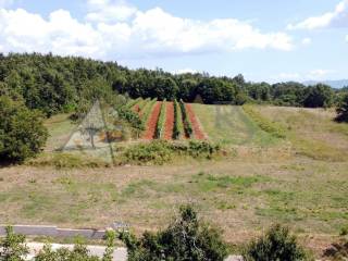 Land plot - other, Sale, Pićan, Pićan