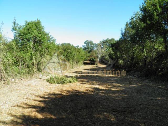 Zemljište, Prodaja, Sveta Nedelja