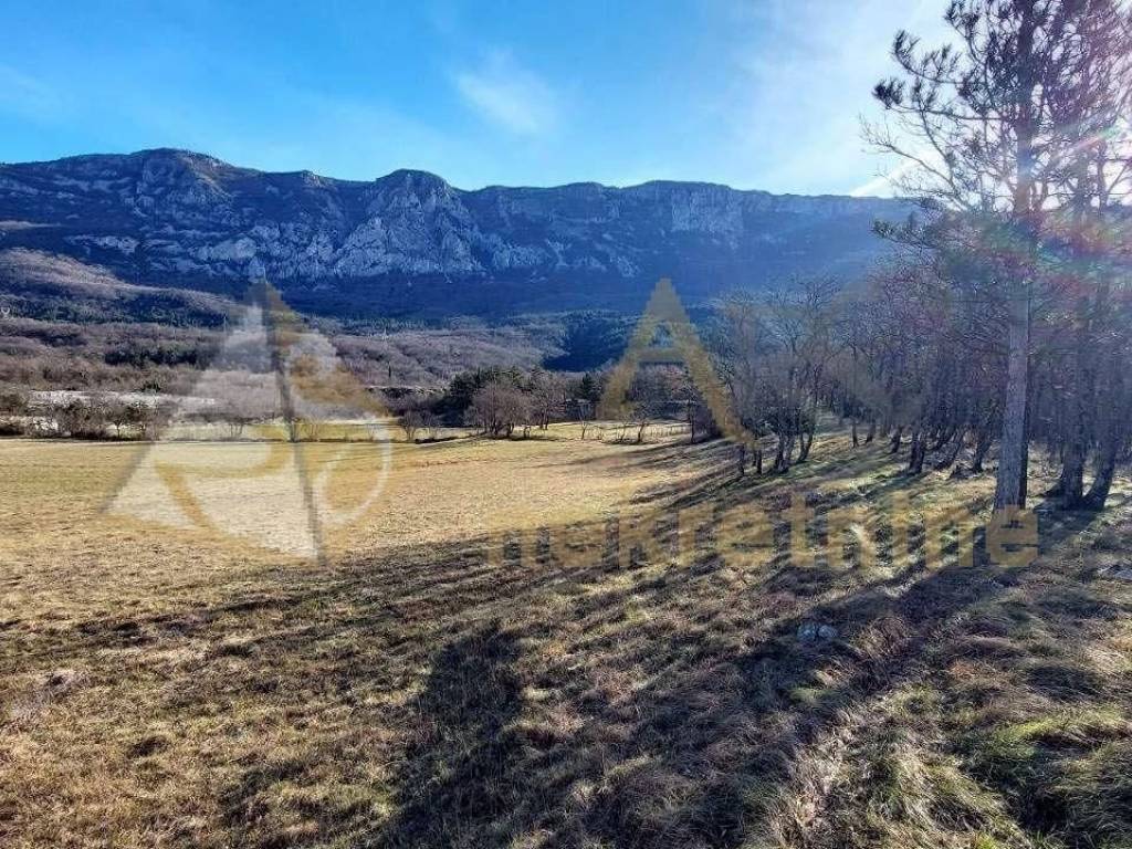 Poljoprivredno zemljište, Prodaja, Kršan, Kožljak