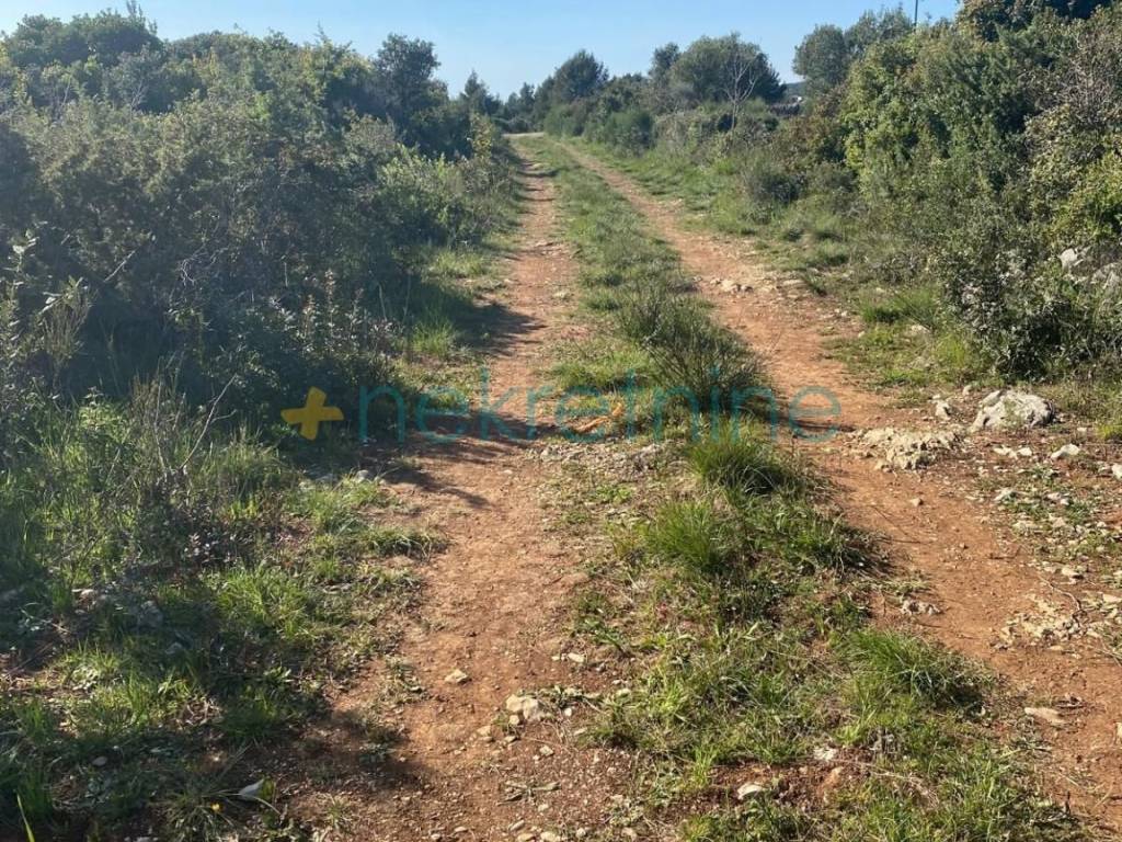 Plot for construction, Sale, Sveti Filip i Jakov, Sveti Petar na Moru