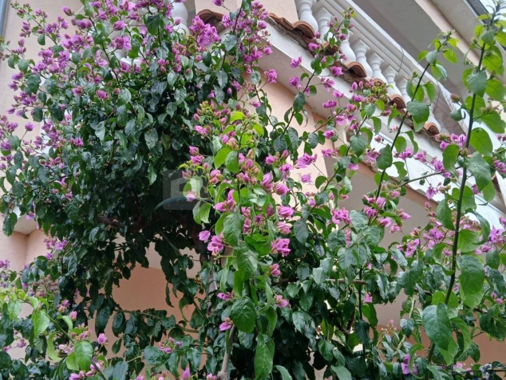 Flat in a house, Rent, Vodice, Vodice
