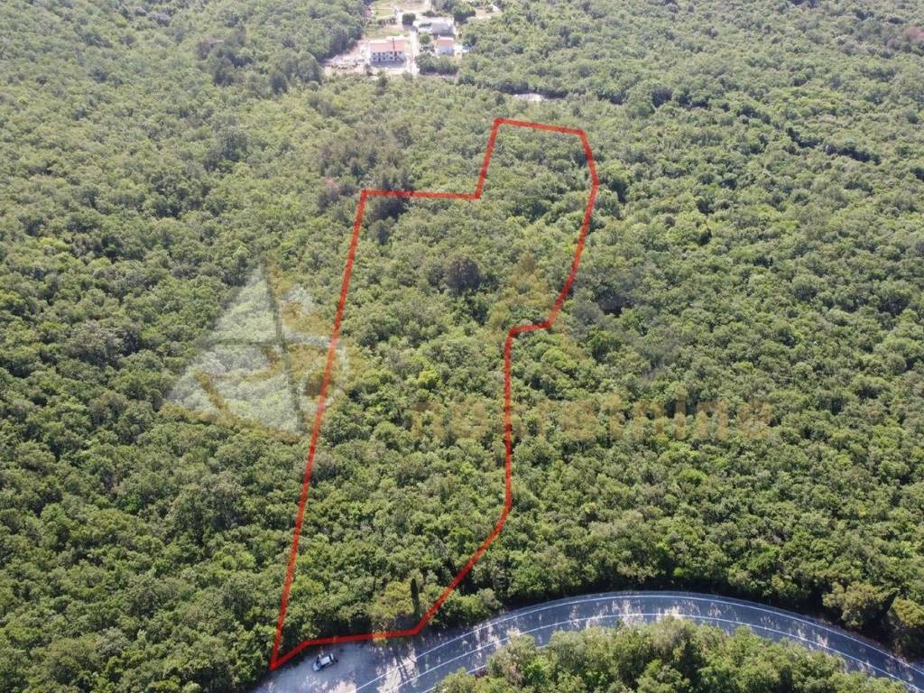 Šuma, Prodaja, Kršan, Zagorje